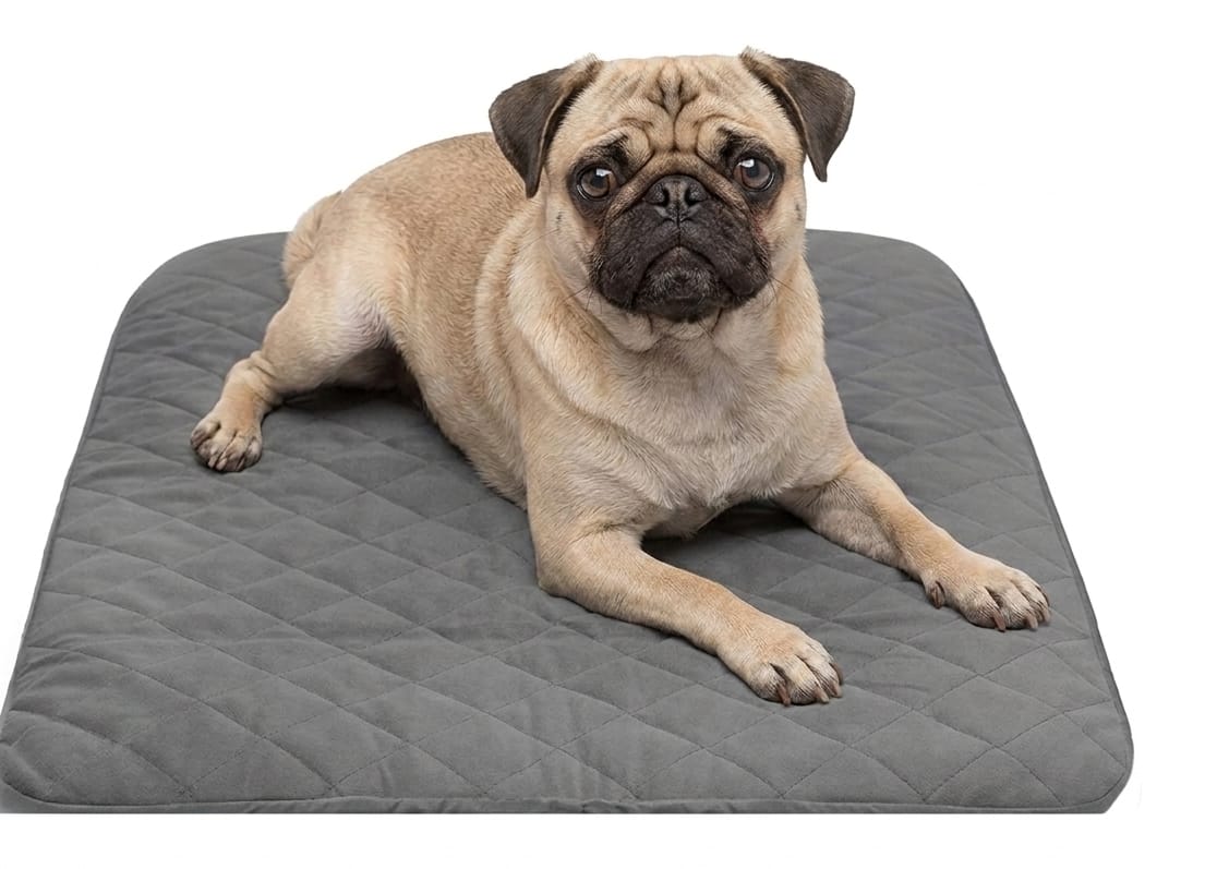 Waterproof Pet Bed Cover