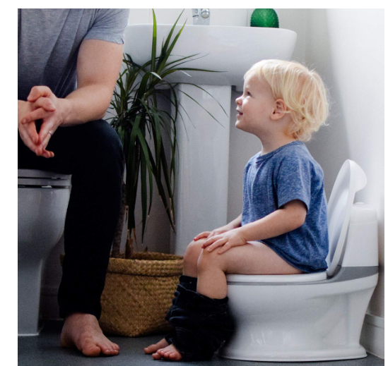 Potty Training Toilet Bowl
